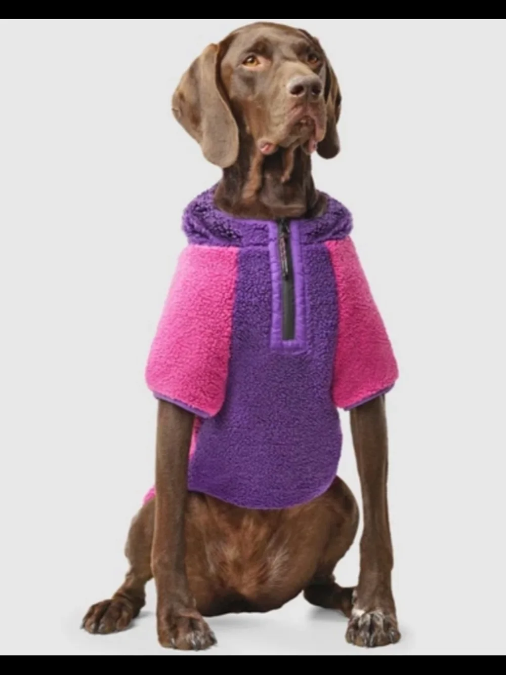 Soft Fleece Dog Hoodie in Pink and Purple - Cozy Pet Jacket